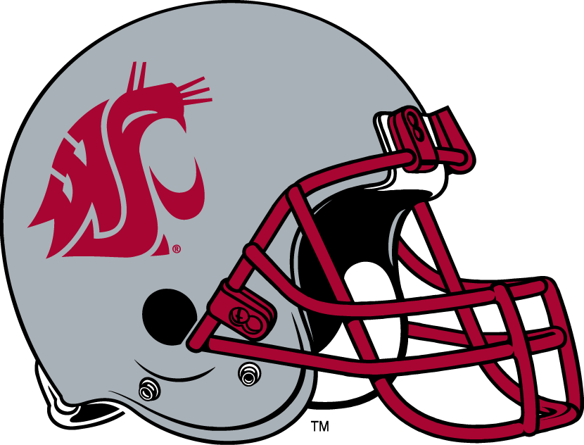 Washington State Cougars 1999-Pres Helmet Logo diy fabric transfer
